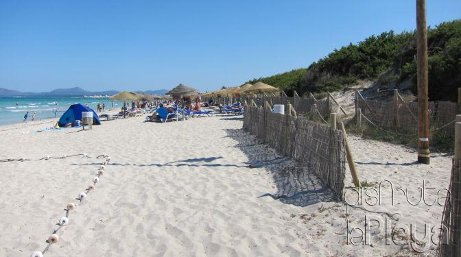 Platja de Muro- Sector II