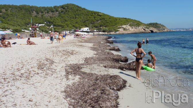 Platja d´es Cavallet