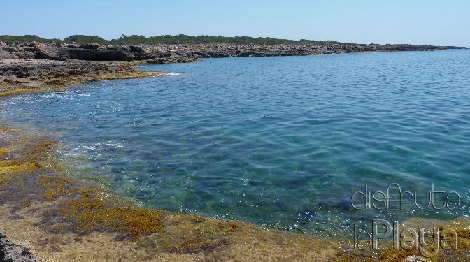 Es Racó de s´Alga