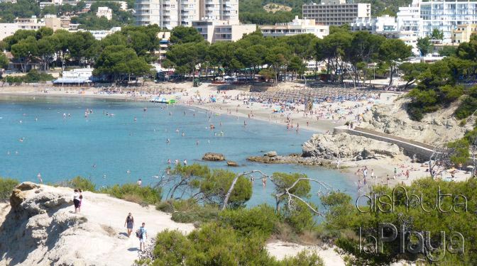 Platja Gran de Torà