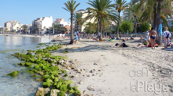 S´Arenal de Llucmajor
