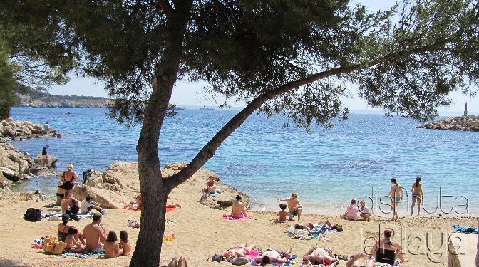 Cala Nova