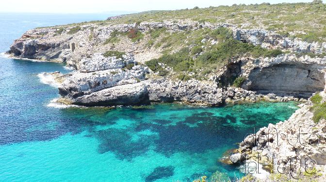 Cala Figuereta