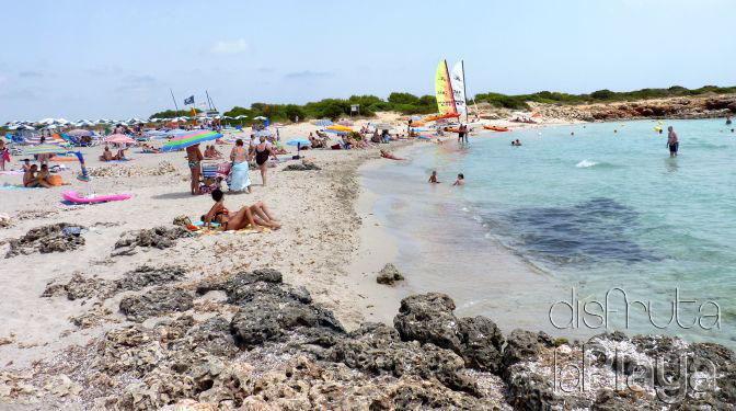 Platja de son Xoriguer