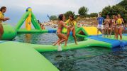 Wibit Sport